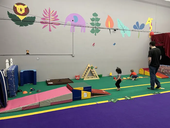 Oregon Gymnastics Academy Picture 5