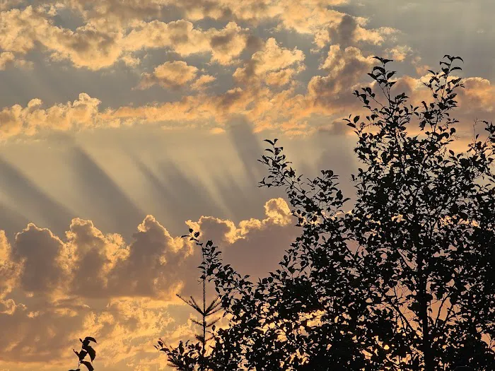 Oregon Gymnastics Academy Picture 6