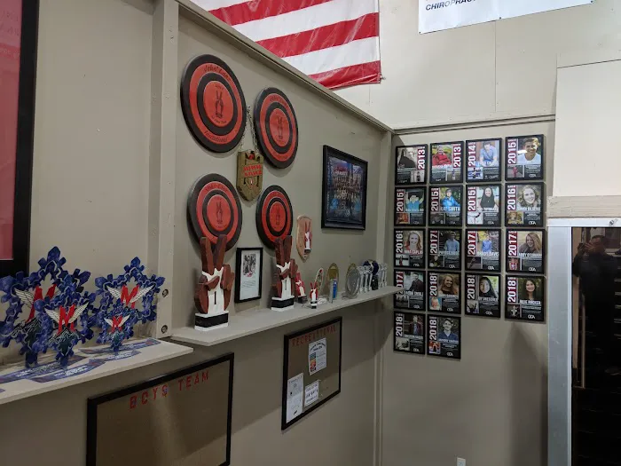 Oregon Gymnastics Academy Picture 7