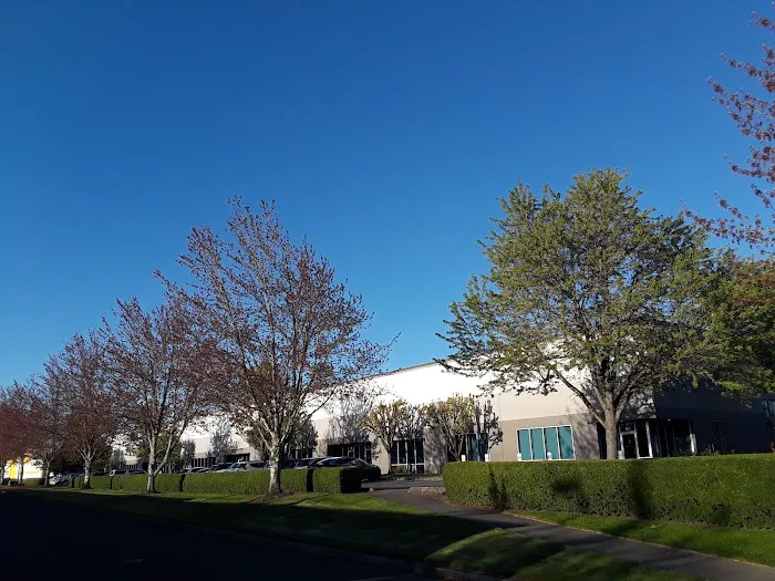 Oregon Gymnastics Academy Picture 10