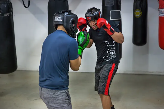 4 Elements MMA Picture 8