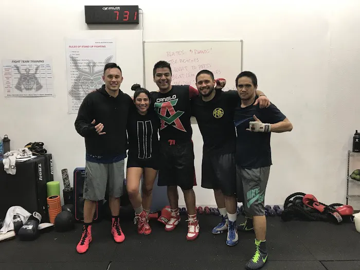 4 Elements MMA Picture 6