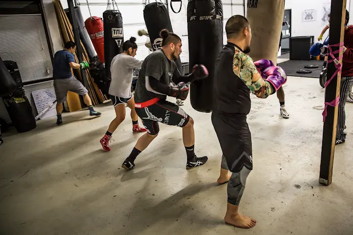 4 Elements MMA Picture 4