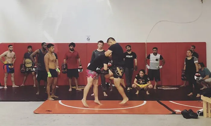 4 Elements MMA Picture 1