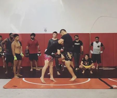 4 Elements MMA