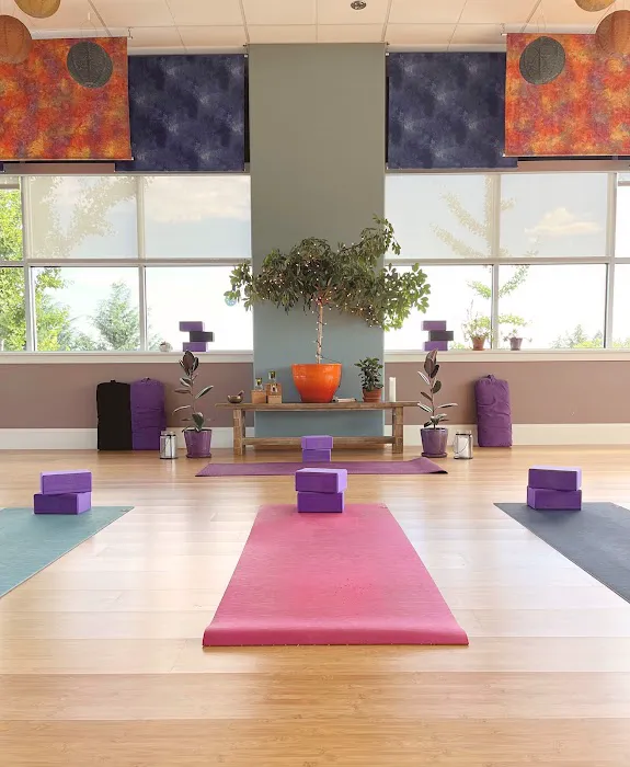 Yoga OMazing Picture 4