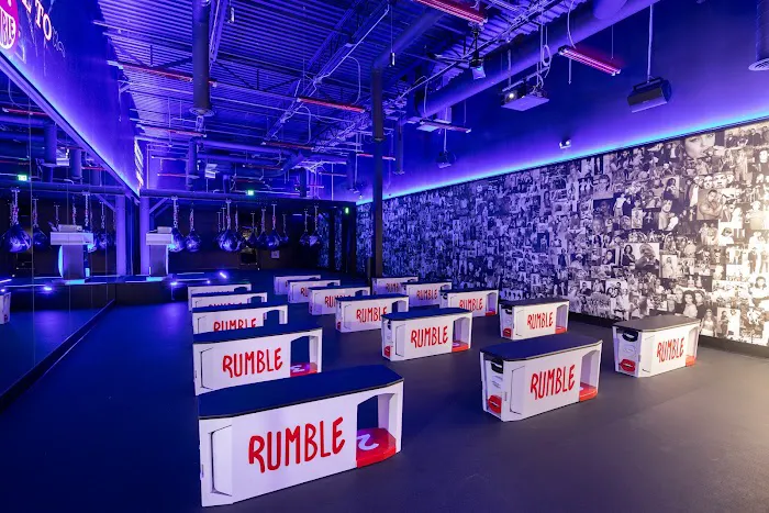 Rumble Boxing Picture 4