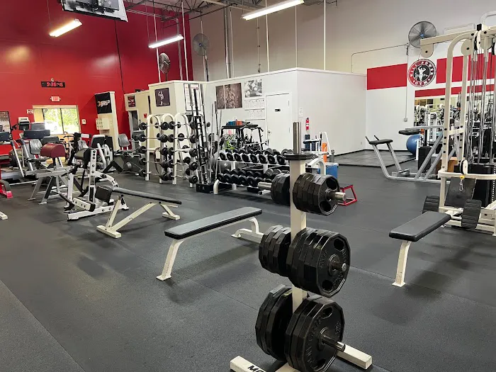 Will Power Gym Picture 4