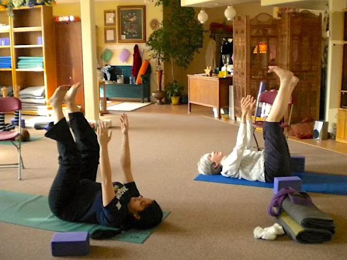 Anuloma Yoga Picture 4