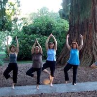 Yoga Hillsboro & The Stress Reduction Clinic ico