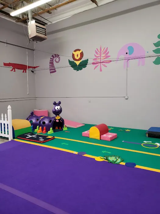 FlightSchool Gymnastics Picture 5