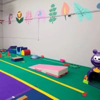 FlightSchool Gymnastics ico