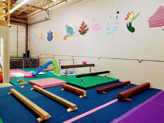 FlightSchool Gymnastics Picture 2