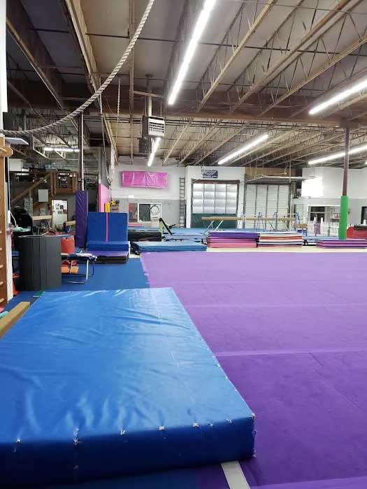 FlightSchool Gymnastics Picture 8