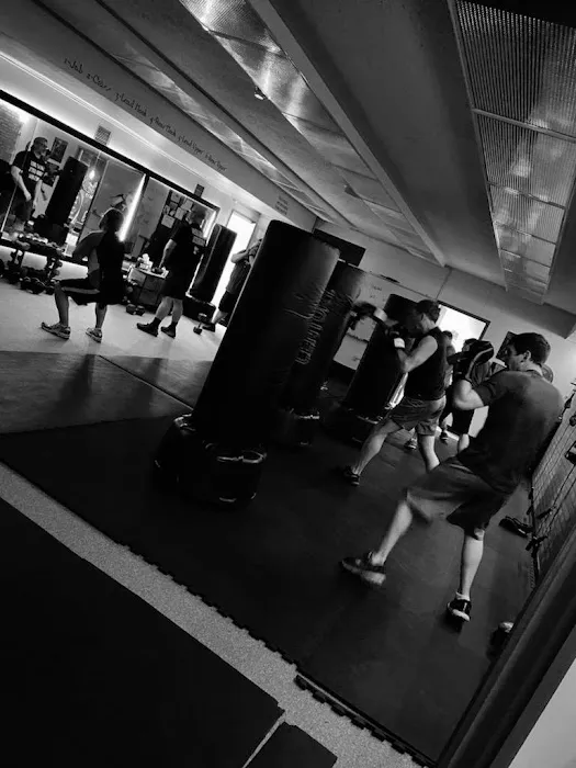 Mind and Body Boxing Picture 3