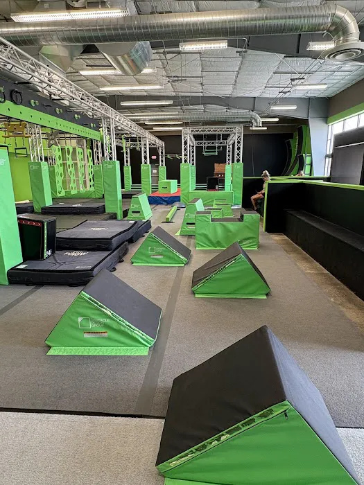 Four Star Ninja Academy Picture 2