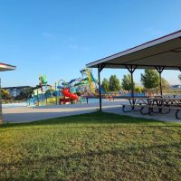 Family Wellness Bisman ico