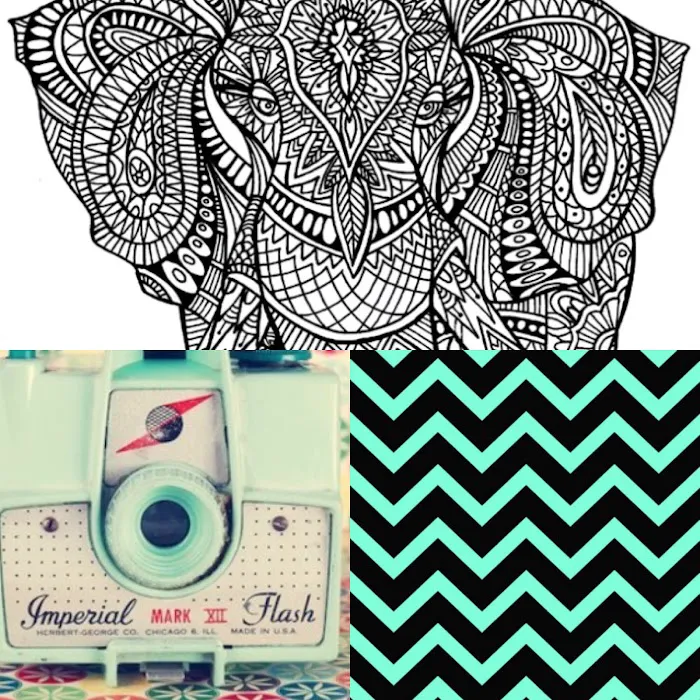 Bismarck Gymnastics Academy Picture 4