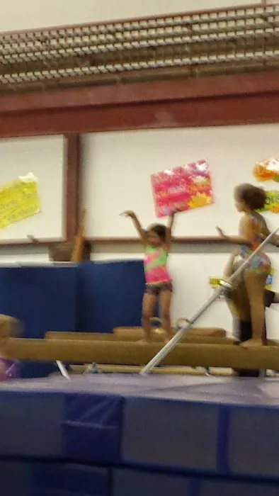 Bismarck Gymnastics Academy Picture 2