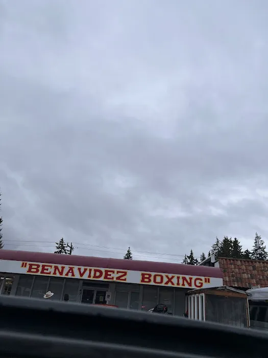 Benavidez Sports Boxing Gym Picture 9