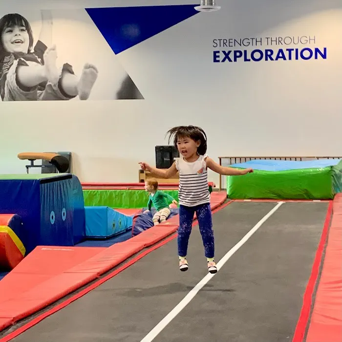 Seattle Gymnastics Academy - Burien Picture 4