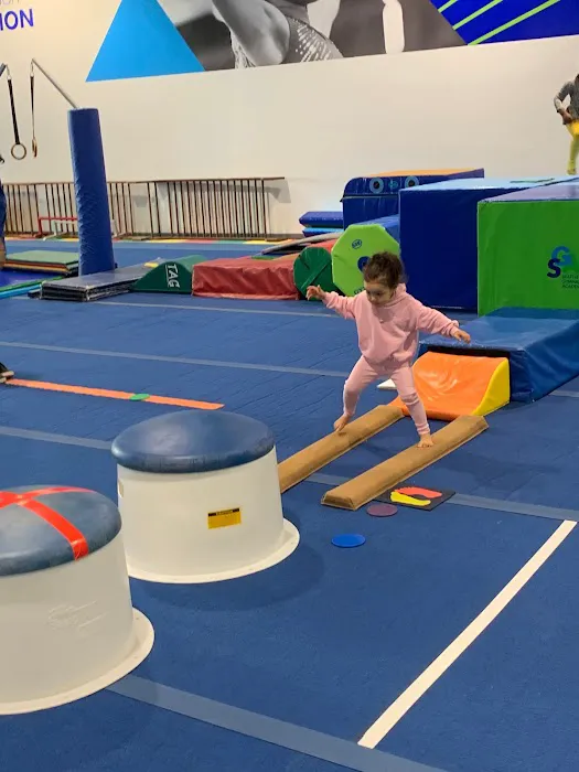 Seattle Gymnastics Academy - Burien Picture 1
