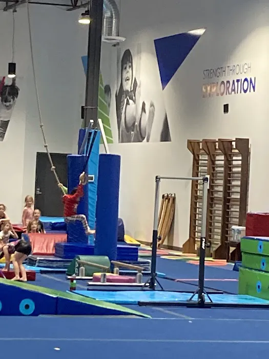 Seattle Gymnastics Academy - Burien Picture 8