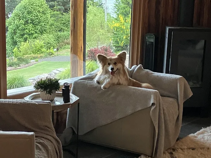 Be Yoga Burien Picture 4