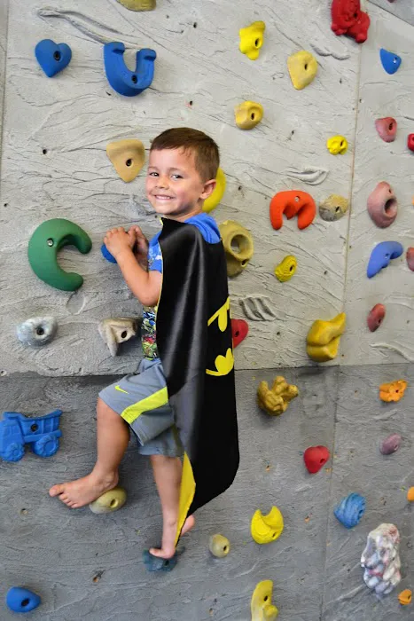 The Jungle Gym Picture 1