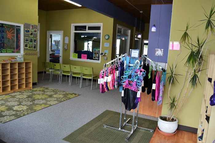 The Jungle Gym Picture 2