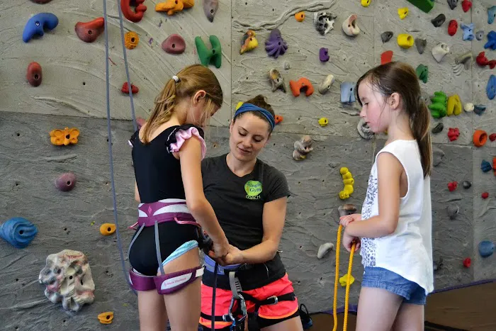 The Jungle Gym Picture 4