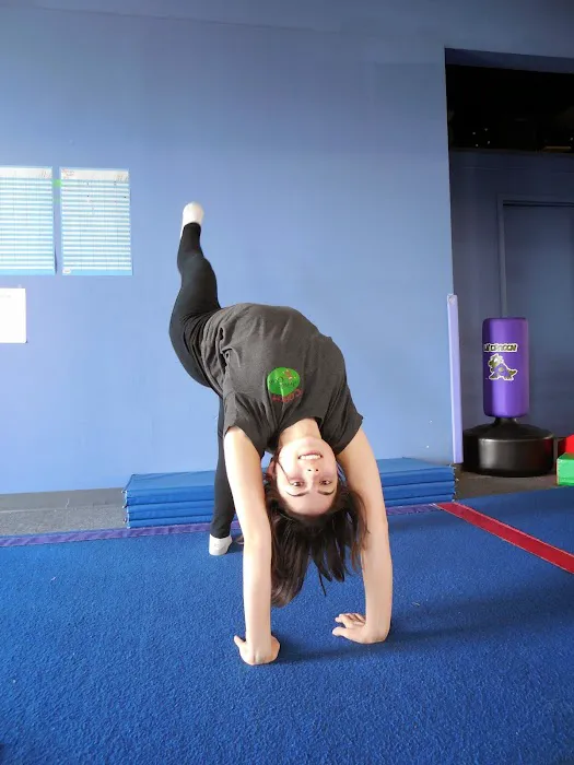 The Jungle Gym Picture 9