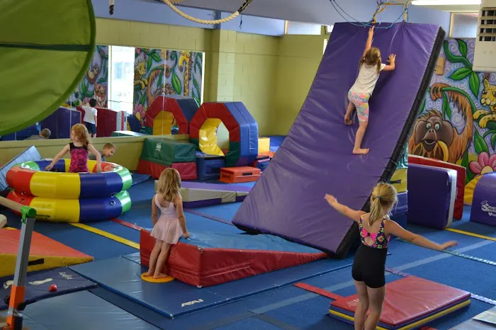 The Jungle Gym Picture 3