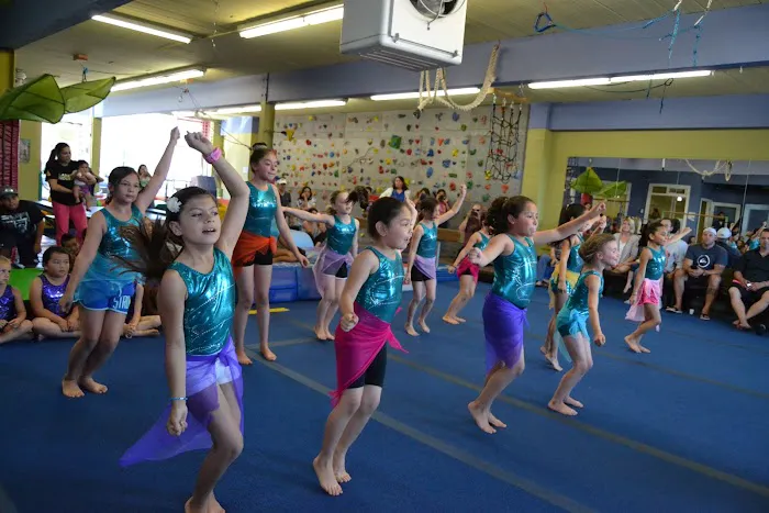 The Jungle Gym Picture 7