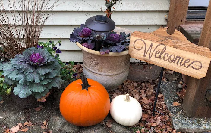 New Life Pilates Picture 3