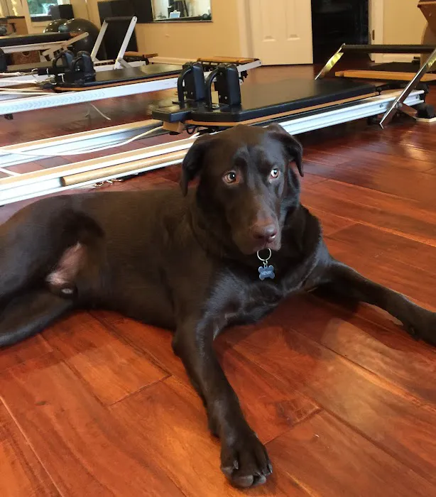 New Life Pilates Picture 4