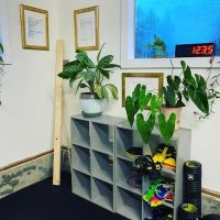 No Judgment Fitness ico