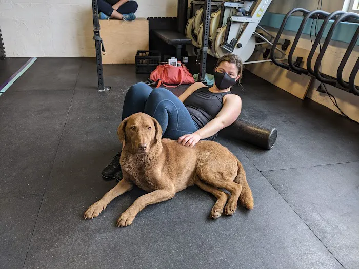 Tiltshift CrossFit Picture 4