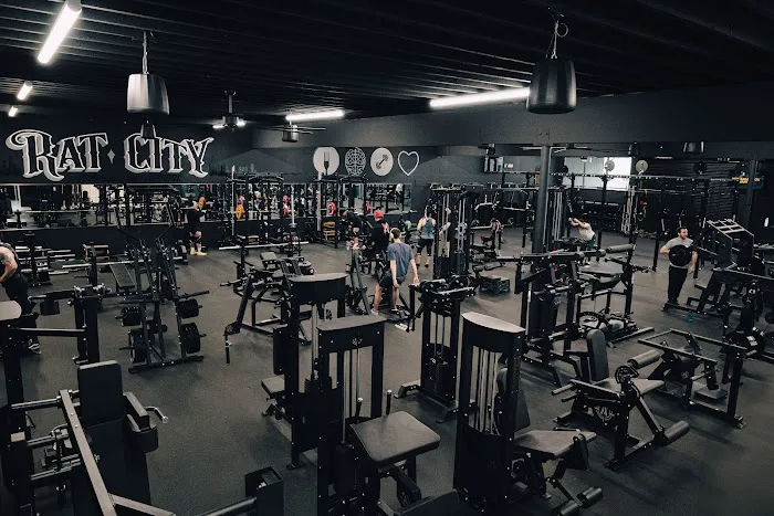 Strong Life Training Picture 2