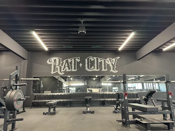 Strong Life Training Picture 7