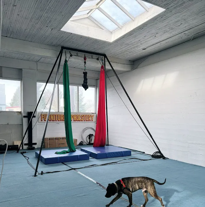 Misfit Strength & Circus Picture 3