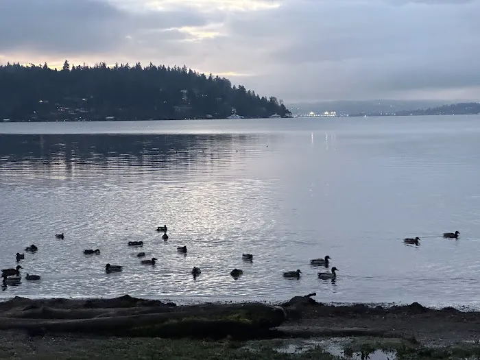 South Seattle Women's Fitness Picture 3