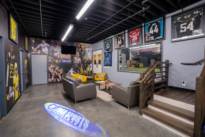 Ford Sports Performance Picture 3