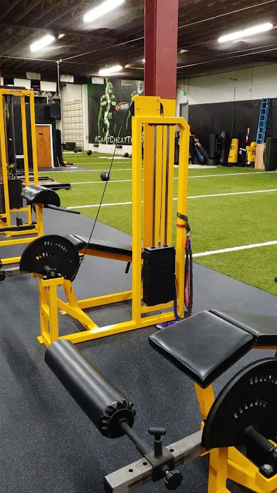 Ford Sports Performance Picture 2