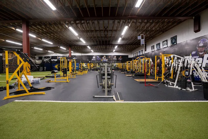 Ford Sports Performance Picture 7