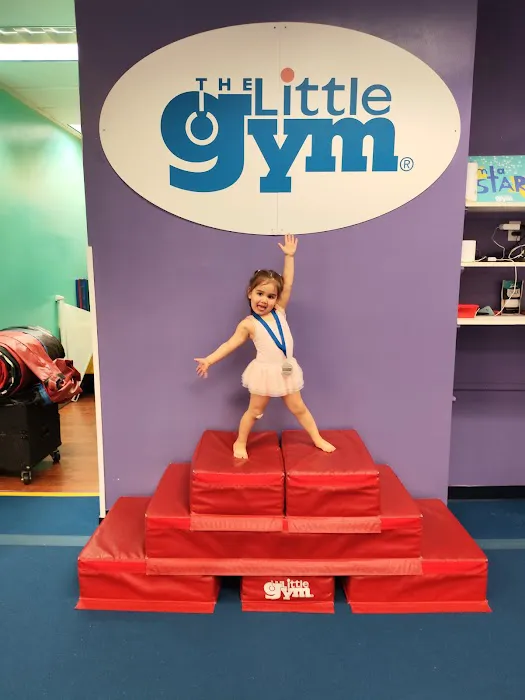 The Little Gym of West Seattle Picture 6