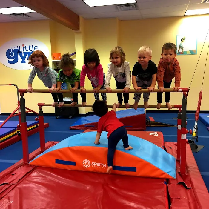 The Little Gym of West Seattle Picture 2