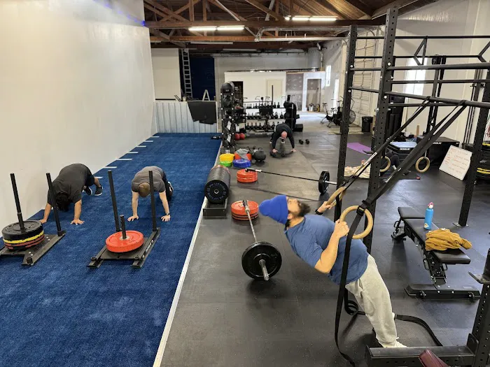 Delridge Strength Picture 8