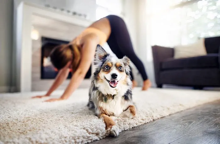 YogaSix West Seattle Picture 4