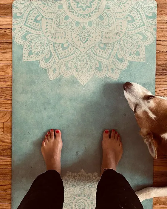 YogaSix West Seattle Picture 9